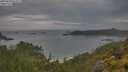 ./images/calvert/foggy-cove/20250628/foggy-cove20250628_072509M.jpg