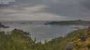 ./images/calvert/foggy-cove/20250628/foggy-cove20250628_073010M.jpg
