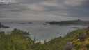 ./images/calvert/foggy-cove/20250628/foggy-cove20250628_073510M.jpg