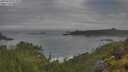 ./images/calvert/foggy-cove/20250628/foggy-cove20250628_074010M.jpg