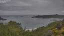 ./images/calvert/foggy-cove/20250628/foggy-cove20250628_074510M.jpg