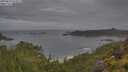 ./images/calvert/foggy-cove/20250628/foggy-cove20250628_075011M.jpg