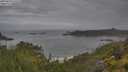 ./images/calvert/foggy-cove/20250628/foggy-cove20250628_075508M.jpg