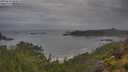 ./images/calvert/foggy-cove/20250628/foggy-cove20250628_080010M.jpg