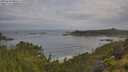 ./images/calvert/foggy-cove/20250628/foggy-cove20250628_080508M.jpg