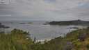 ./images/calvert/foggy-cove/20250628/foggy-cove20250628_081009M.jpg