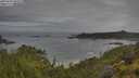 ./images/calvert/foggy-cove/20250628/foggy-cove20250628_082010M.jpg