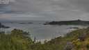 ./images/calvert/foggy-cove/20250628/foggy-cove20250628_082510M.jpg