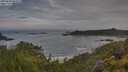 ./images/calvert/foggy-cove/20250628/foggy-cove20250628_083510M.jpg