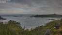 ./images/calvert/foggy-cove/20250628/foggy-cove20250628_084010M.jpg