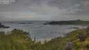 ./images/calvert/foggy-cove/20250628/foggy-cove20250628_084509M.jpg