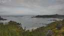 ./images/calvert/foggy-cove/20250628/foggy-cove20250628_085011M.jpg