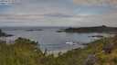 ./images/calvert/foggy-cove/20250628/foggy-cove20250628_091009M.jpg