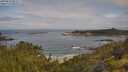 ./images/calvert/foggy-cove/20250628/foggy-cove20250628_092009M.jpg