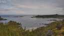 ./images/calvert/foggy-cove/20250628/foggy-cove20250628_092508M.jpg