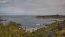 ./images/calvert/foggy-cove/20250628/foggy-cove20250628_094010M.jpg