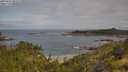 ./images/calvert/foggy-cove/20250628/foggy-cove20250628_094510M.jpg