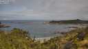 ./images/calvert/foggy-cove/20250628/foggy-cove20250628_095010M.jpg