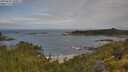 ./images/calvert/foggy-cove/20250628/foggy-cove20250628_100011M.jpg