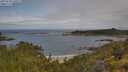 ./images/calvert/foggy-cove/20250628/foggy-cove20250628_100509M.jpg