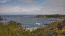 ./images/calvert/foggy-cove/20250628/foggy-cove20250628_102010M.jpg