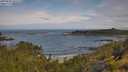./images/calvert/foggy-cove/20250628/foggy-cove20250628_102510M.jpg