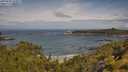 ./images/calvert/foggy-cove/20250628/foggy-cove20250628_104009M.jpg
