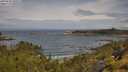 ./images/calvert/foggy-cove/20250628/foggy-cove20250628_105007M.jpg