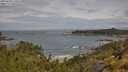 ./images/calvert/foggy-cove/20250628/foggy-cove20250628_110508M.jpg
