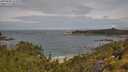 ./images/calvert/foggy-cove/20250628/foggy-cove20250628_111010M.jpg