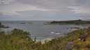 ./images/calvert/foggy-cove/20250628/foggy-cove20250628_111510M.jpg