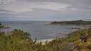 ./images/calvert/foggy-cove/20250628/foggy-cove20250628_112509M.jpg