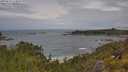 ./images/calvert/foggy-cove/20250628/foggy-cove20250628_114010M.jpg