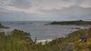 ./images/calvert/foggy-cove/20250628/foggy-cove20250628_114511M.jpg