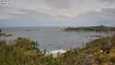 ./images/calvert/foggy-cove/20250628/foggy-cove20250628_115509M.jpg