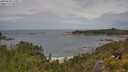 ./images/calvert/foggy-cove/20250628/foggy-cove20250628_120011M.jpg