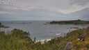 ./images/calvert/foggy-cove/20250628/foggy-cove20250628_120508M.jpg