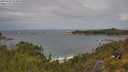 ./images/calvert/foggy-cove/20250628/foggy-cove20250628_122008M.jpg