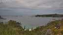 ./images/calvert/foggy-cove/20250628/foggy-cove20250628_131509M.jpg