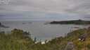 ./images/calvert/foggy-cove/20250628/foggy-cove20250628_132510M.jpg