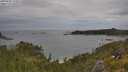 ./images/calvert/foggy-cove/20250628/foggy-cove20250628_133011M.jpg