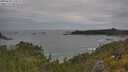 ./images/calvert/foggy-cove/20250628/foggy-cove20250628_134510M.jpg