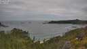 ./images/calvert/foggy-cove/20250628/foggy-cove20250628_135010M.jpg