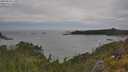 ./images/calvert/foggy-cove/20250628/foggy-cove20250628_140011M.jpg