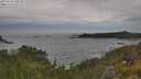 ./images/calvert/foggy-cove/20250628/foggy-cove20250628_140510M.jpg