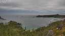 ./images/calvert/foggy-cove/20250628/foggy-cove20250628_141507M.jpg
