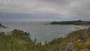 ./images/calvert/foggy-cove/20250628/foggy-cove20250628_142010M.jpg