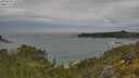 ./images/calvert/foggy-cove/20250628/foggy-cove20250628_142509M.jpg