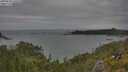 ./images/calvert/foggy-cove/20250628/foggy-cove20250628_150510M.jpg