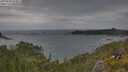 ./images/calvert/foggy-cove/20250628/foggy-cove20250628_153011M.jpg